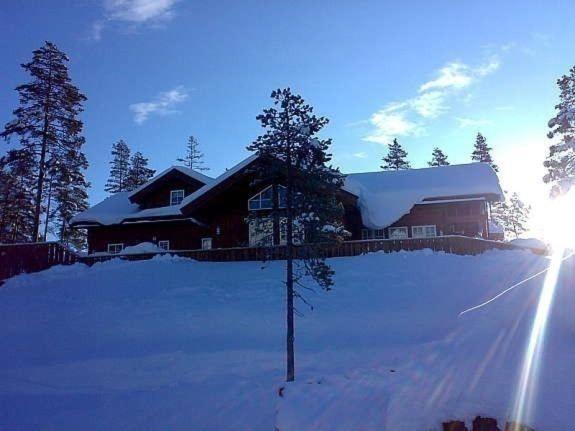 Flott Utleiehytte Pa Gautefall Treungen Luaran gambar